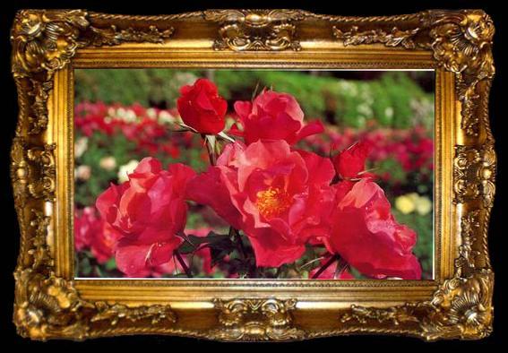 framed  unknow artist Still life floral, all kinds of reality flowers oil painting  397, ta009-2